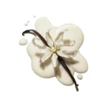 زيت عطري رائحة الفانيلا والحليب